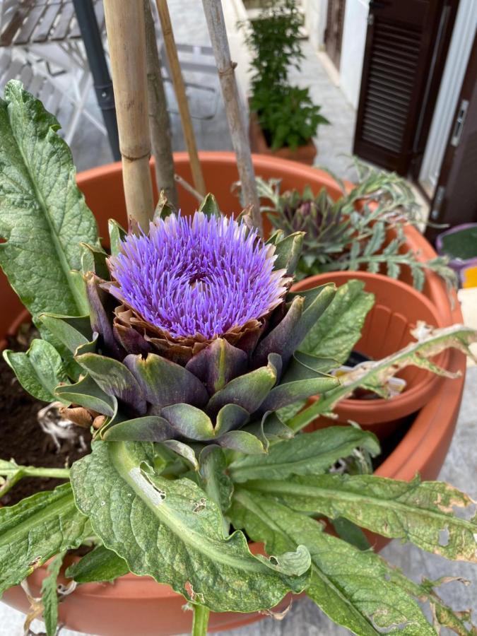 Officinale Rome Apartment, Pineta Sacchetti Roma Exterior foto