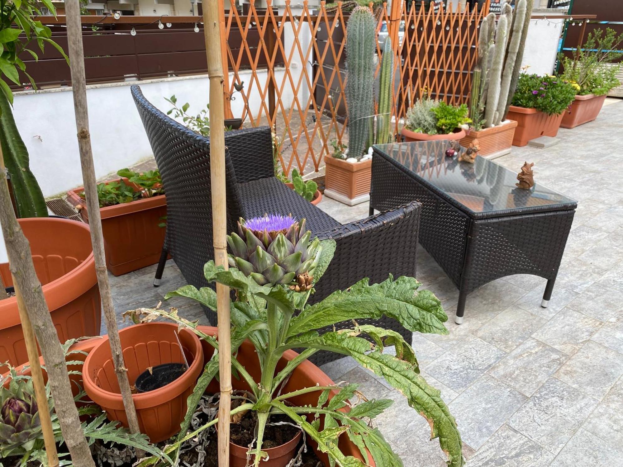 Officinale Rome Apartment, Pineta Sacchetti Roma Exterior foto